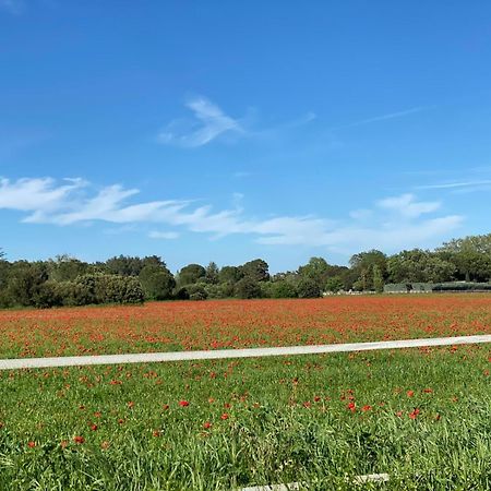 Le Gite Des Poiriers Uzes Bagian luar foto